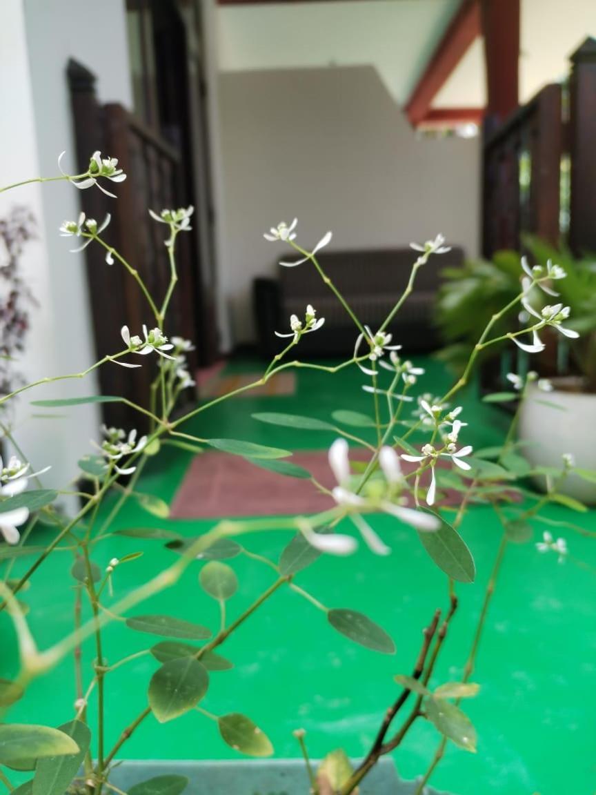 Ella Shali'S Home Dış mekan fotoğraf