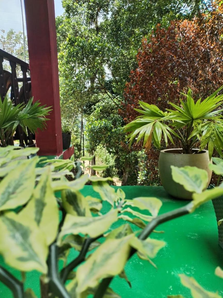 Ella Shali'S Home Dış mekan fotoğraf