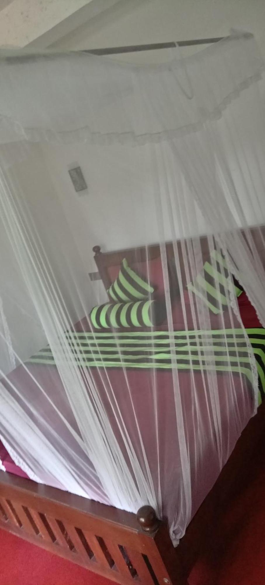 Ella Shali'S Home Dış mekan fotoğraf